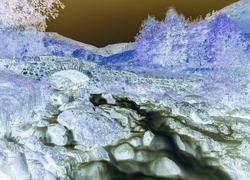 Negatyw