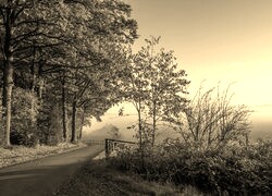 Sepia