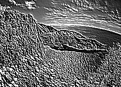 Skamielina