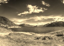 Szary + Sepia