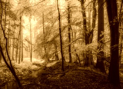 Sepia