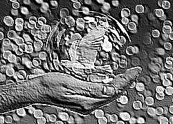 Skamielina