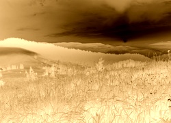 Sepia + Negatyw