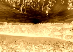 Sepia + Negatyw