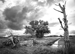 Szary + Sepia