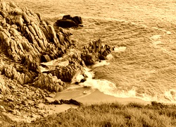 Sepia