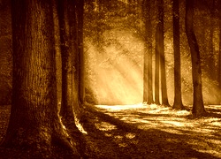 Sepia