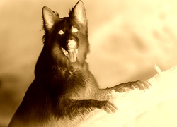 Sepia + Negatyw