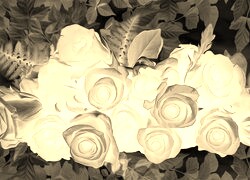 Sepia + Negatyw