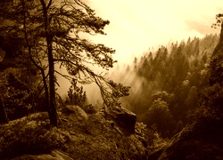 Sepia