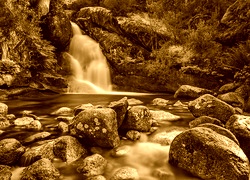 Sepia
