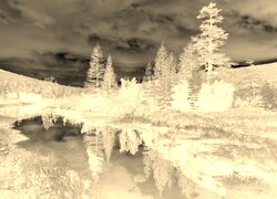 Sepia + Negatyw