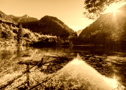 Sepia