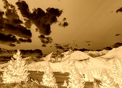 Sepia + Negatyw