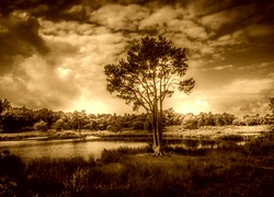 Sepia