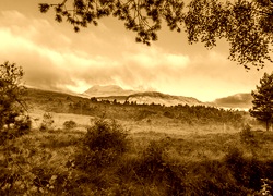 Sepia