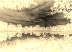 Sepia + Negatyw