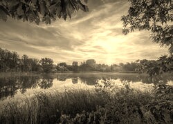 Szary + Sepia