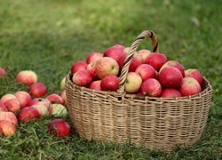 Oryginalny obrazek
