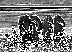 Skamielina