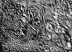 Skamielina
