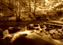 Sepia