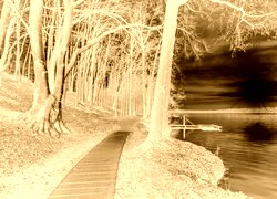 Sepia + Negatyw