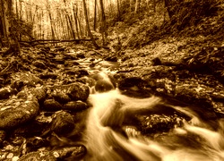 Sepia