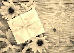Szary + Sepia