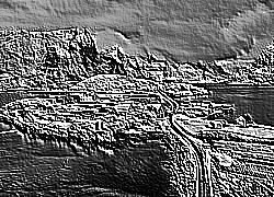 Skamielina