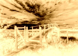 Sepia + Negatyw