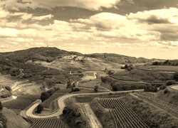 Szary + Sepia
