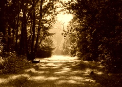 Sepia