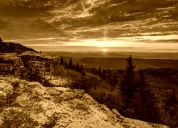 Sepia