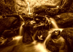 Sepia