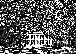 Skamielina