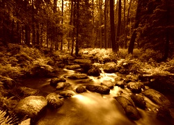 Sepia