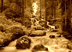 Sepia