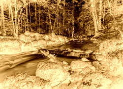 Sepia + Negatyw