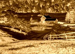 Sepia + Negatyw