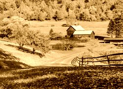 Sepia