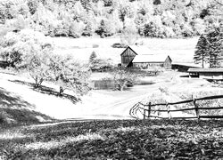 Szary + Sepia