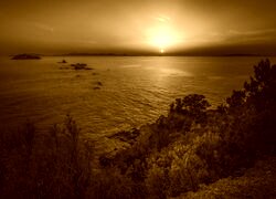 Sepia