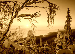 Sepia