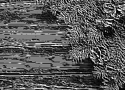 Skamielina