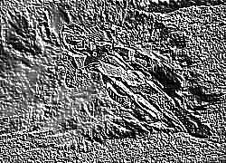 Skamielina