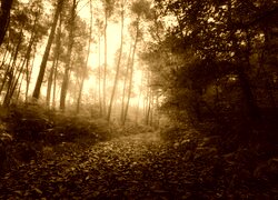 Sepia