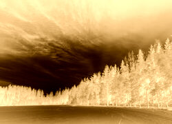 Sepia + Negatyw