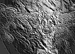Skamielina