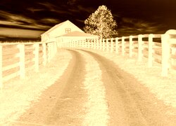 Sepia + Negatyw